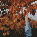 spooky-and-chilly avatar