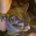 spookyalienfriend avatar