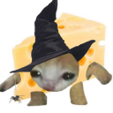 spookycheesecat avatar