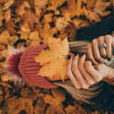 spookyfallseason avatar