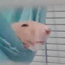 spookyghostjelly avatar