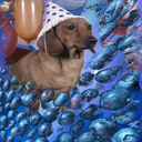 spookyqueenshitlord avatar