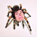 spookyspiders avatar