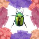 spookythebeetle avatar