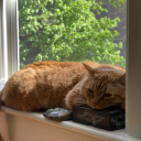 spookyveganham avatar