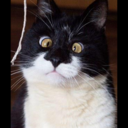 spookyyouthpeanut-blog avatar