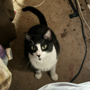 spoon-lacking-spoons avatar