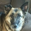 spooneroriginal avatar