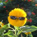 spoonkyscenvyskreeleton avatar