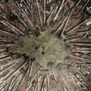 spoonpernatural avatar