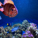 spoonsbutbetter avatar