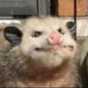 spoonsraccoon avatar