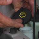 spoopy-shanin avatar