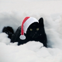 spoopy-then-festive avatar