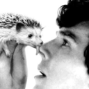 spoopydestiel-pie avatar