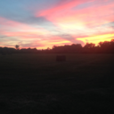 sporadic-interests avatar