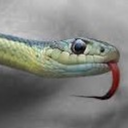 sporadic-science avatar