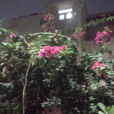 sporadicsludgeclamcop avatar