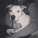 sport-im-osten avatar