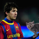 sportballsreplacedwithcats avatar