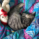 sportlesswonder avatar