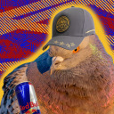 sportsmodepigeon avatar
