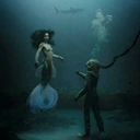 spotedeagleray avatar