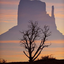 spotlesssunshine avatar