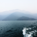 spotlessthoughts avatar