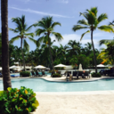 sppitblue-blog avatar