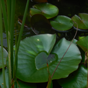 spreadsomehappines avatar