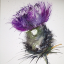 spreadyourlightradiate avatar