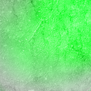 spring-genevi avatar