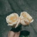 spring-melancholia avatar