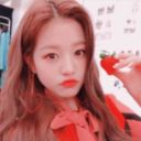 springardner-blog avatar