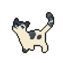 springclangen avatar