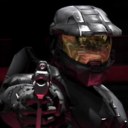 springpferde2-blog avatar