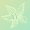 springresources avatar