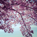 sprinkles-and-glitter avatar