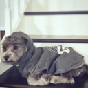 sprinklesmysavior310 avatar