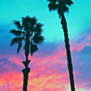 sprinklesonlips avatar