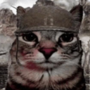 sprite-bird-fool avatar