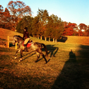 spritepony23-blog avatar