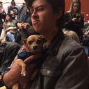 sprousejughead avatar