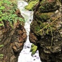 sproutgamedev avatar