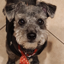 sproutlet0105 avatar