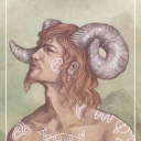 spruce-and-tea avatar