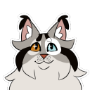 spruceclangen avatar