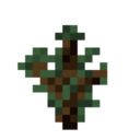 sprucesapling avatar