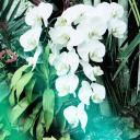 sptlxxxxxtrsh13 avatar